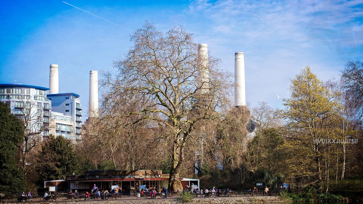 Why Does Battersea Need Jiu-Jitsu?
